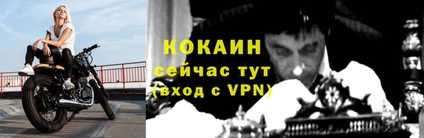кокс Арсеньев