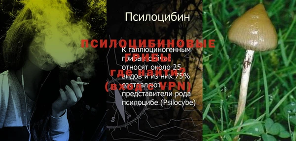 прущий лед Армянск