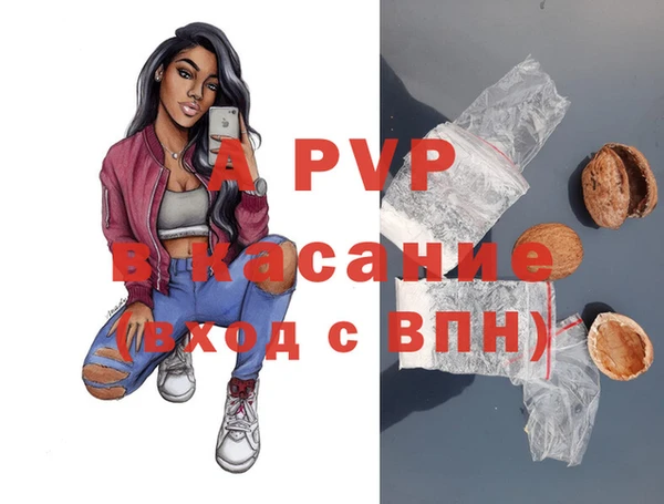 кокс Арсеньев