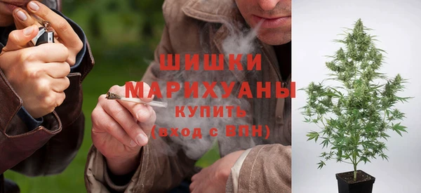кокс Арсеньев