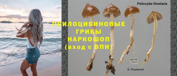 прущий лед Армянск