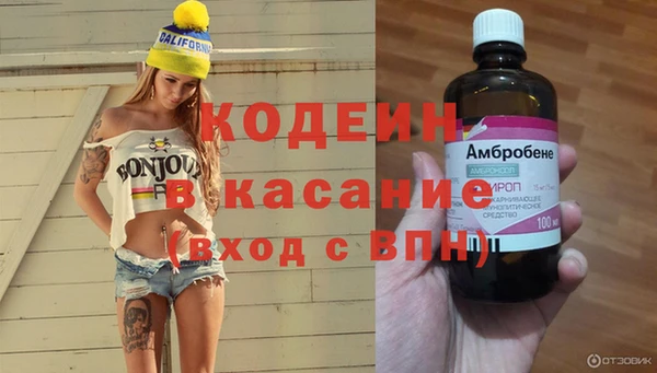 кокс Арсеньев